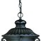 Homeroots 20.5 x 9.38 x 9.38 in. Naples 1-Light Matte Black Hanging Light 397968 - alternate 2